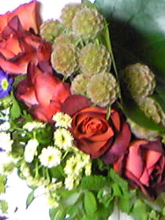 f0223290_8161952.jpg