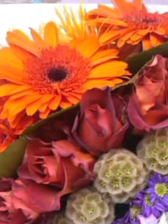 f0223290_816197.jpg