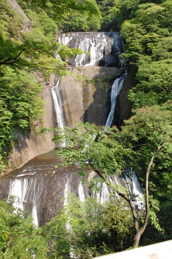 d0153294_19282083.jpg