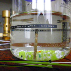 a0203600_11125946.jpg