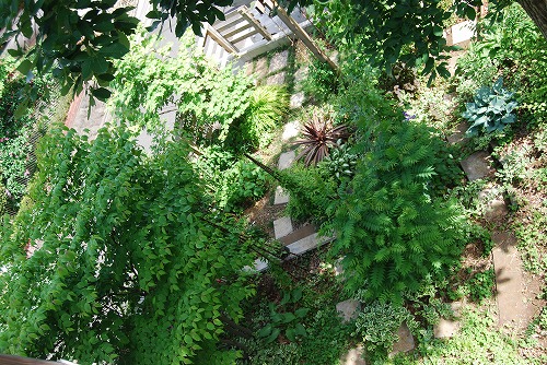 c0124100_22453940.jpg