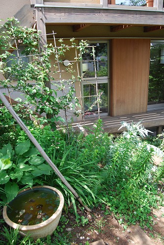 c0124100_22455128.jpg