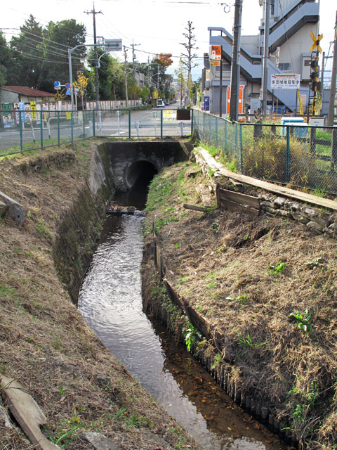 千川上水橋梁と地上に姿を現す千川上水_c0163001_2346476.jpg