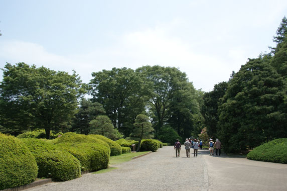 f0036603_20222963.jpg