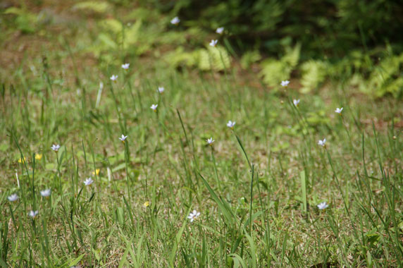 f0036603_20244550.jpg