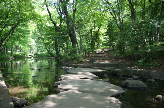 f0036603_2027269.jpg