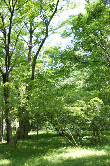 f0036603_20274866.jpg