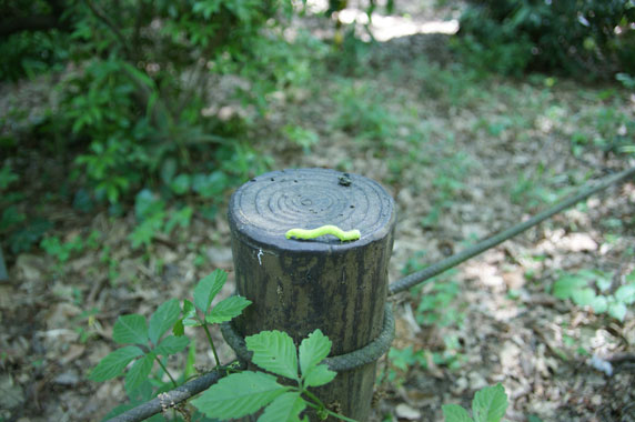 f0036603_20283543.jpg