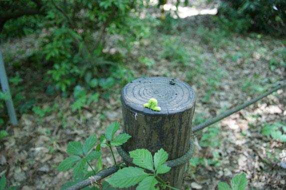 f0036603_20284470.jpg