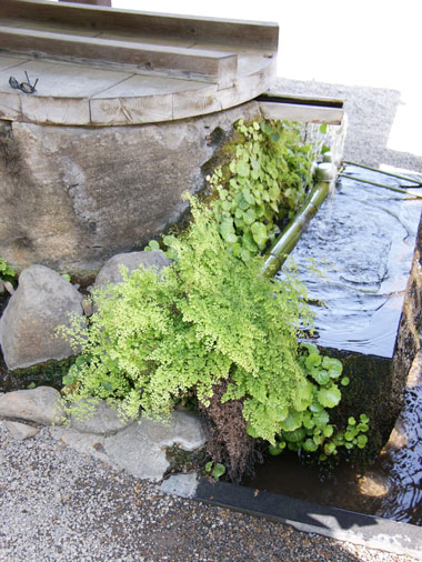 f0036603_20295256.jpg