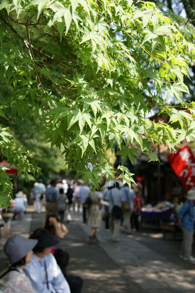 f0036603_2030309.jpg