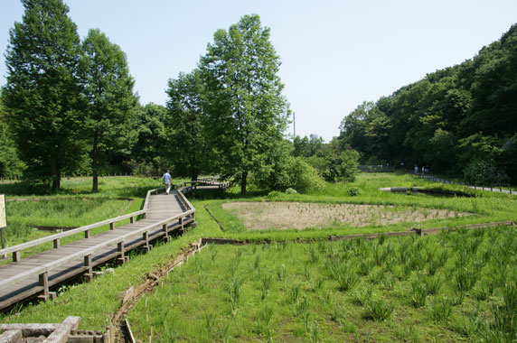 f0036603_20311280.jpg