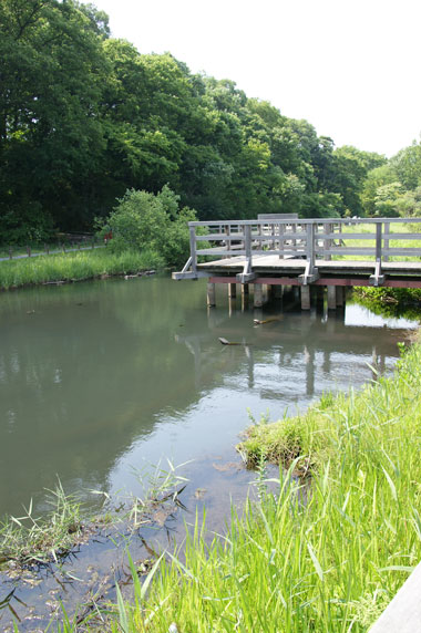 f0036603_20313364.jpg