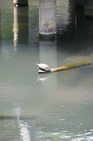 f0036603_20314421.jpg