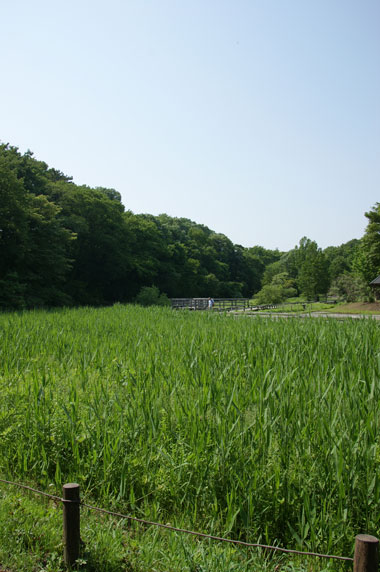 f0036603_2032222.jpg