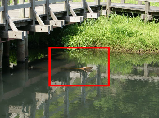 f0036603_20323136.jpg