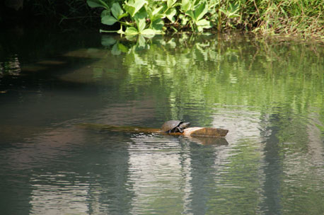 f0036603_20325955.jpg