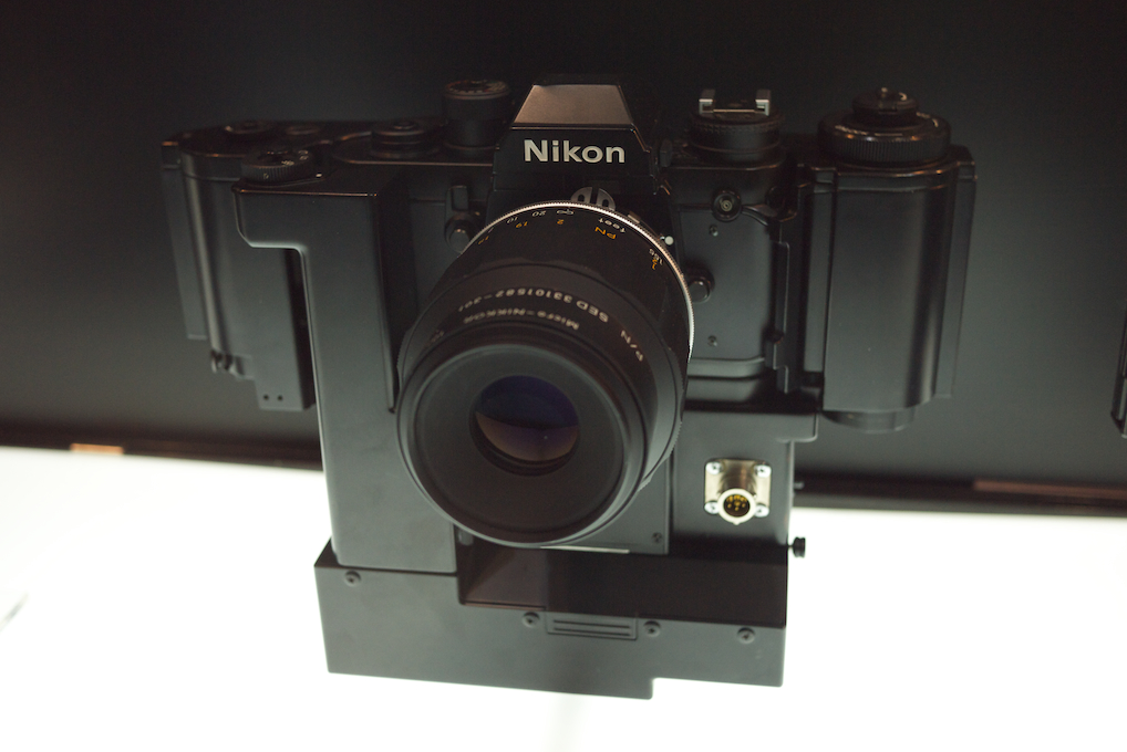 d0119505_293877.jpg