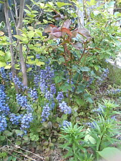 d0150608_2114225.jpg