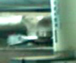 e0103408_14141115.jpg