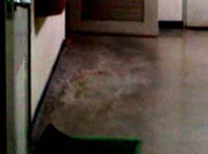 e0103408_143020.jpg