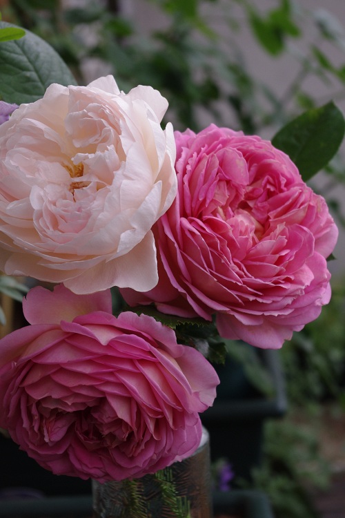 c0147909_7535173.jpg