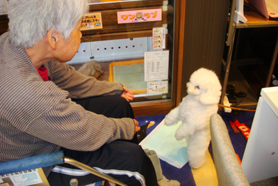 松阪市のアピタとかっぱ寿司へ外出☆_a0154110_15373061.jpg
