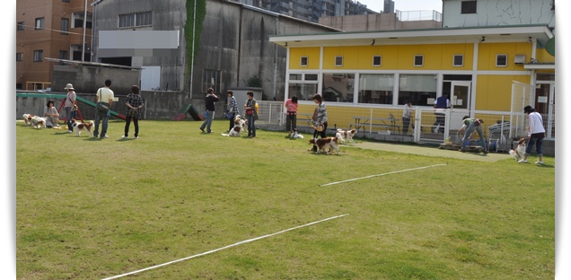 c0065512_14683.jpg