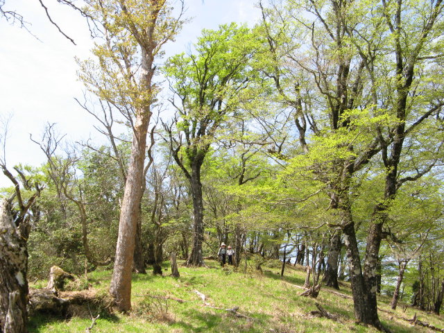 d0006512_013357.jpg