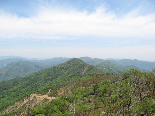 d0006512_023170.jpg