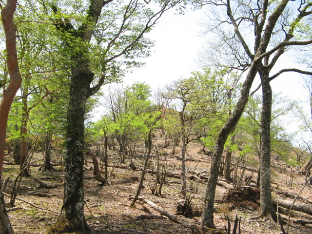 d0006512_03413.jpg