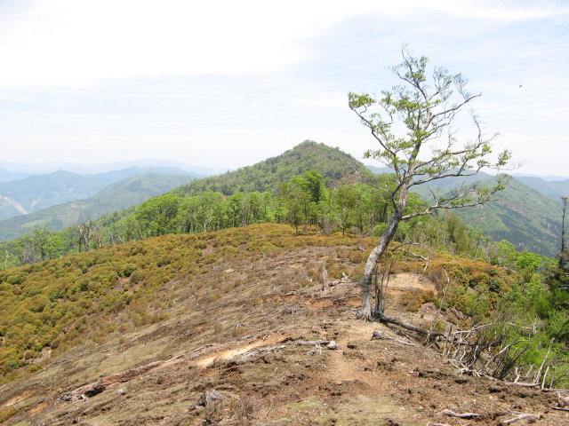 d0006512_045974.jpg