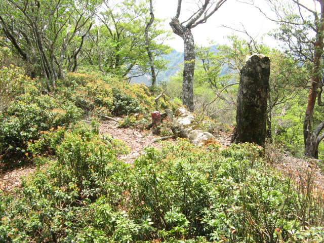 d0006512_071160.jpg
