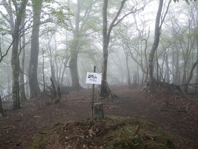 d0006512_21521298.jpg
