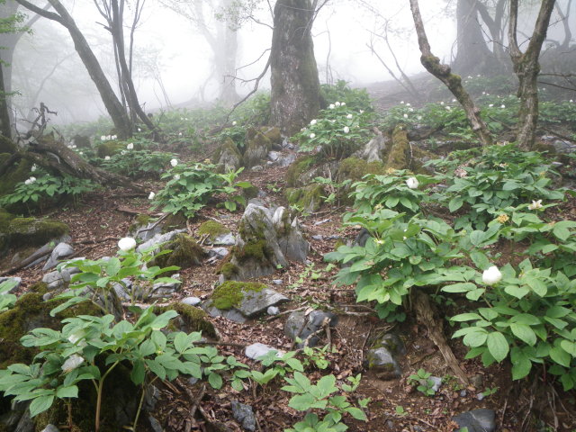 d0006512_2154390.jpg