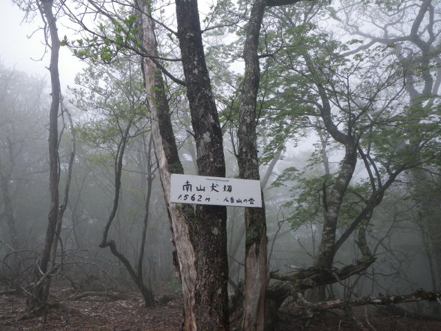 d0006512_21572547.jpg