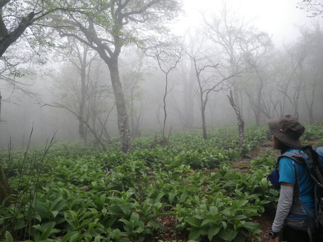d0006512_21582884.jpg
