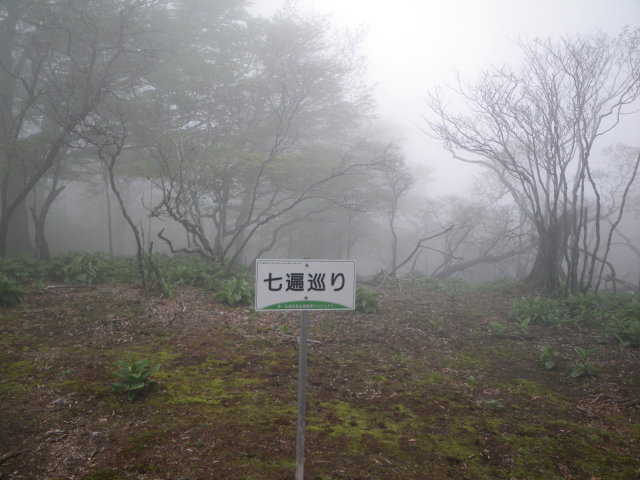 d0006512_2159431.jpg