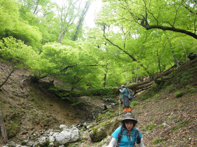 d0006512_2217132.jpg