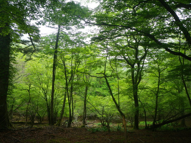 d0006512_222048.jpg