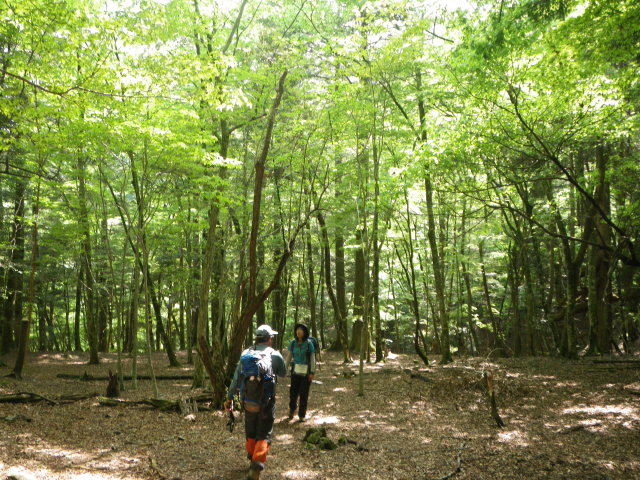 d0006512_225219.jpg