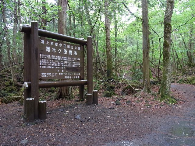 e0122013_1305023.jpg