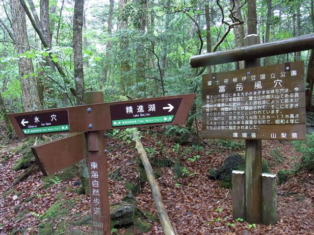 e0122013_1321450.jpg