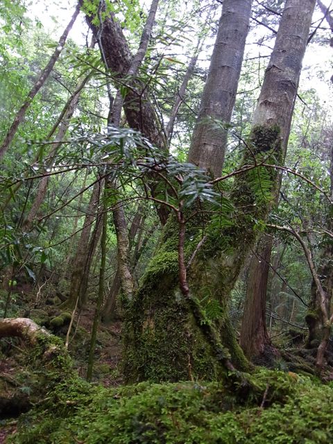 e0122013_1323634.jpg