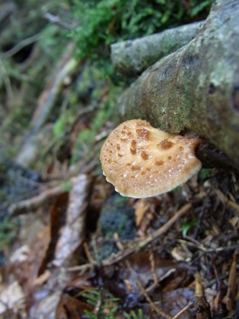 e0122013_1334938.jpg