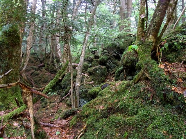 e0122013_135622.jpg