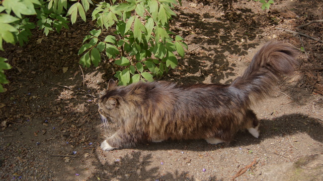 f0233414_03379.jpg