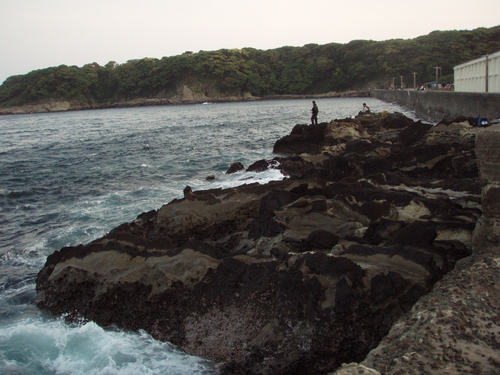 b0121015_1657485.jpg