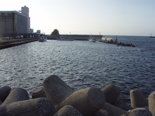 b0121015_1733145.jpg