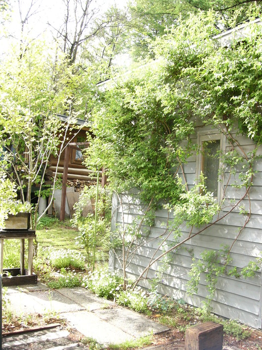 d0183417_23102059.jpg